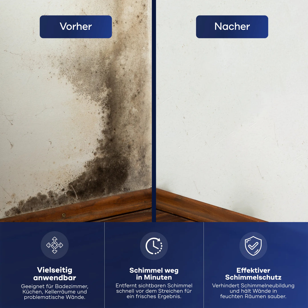 Wandecke im Vorher-Nachher-Vergleich: links dunkle Schimmelflecken, rechts frisch gestrichen mit Plid Anti-Schimmel-Farbe